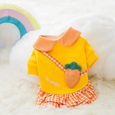 Cute Cartoon Clothes for Autumn/Winter Pet Clothes | cute-cartoon-pet-clothes-for-autumn-and-winter